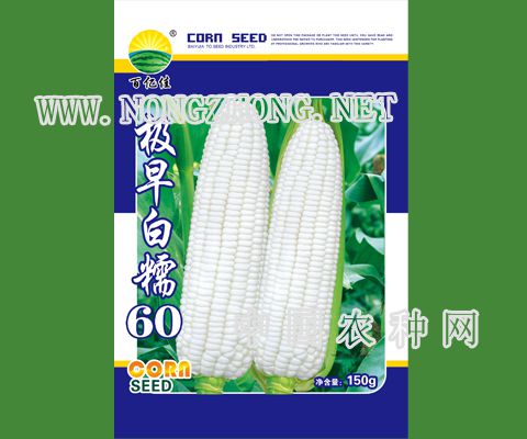 极早甜糯60